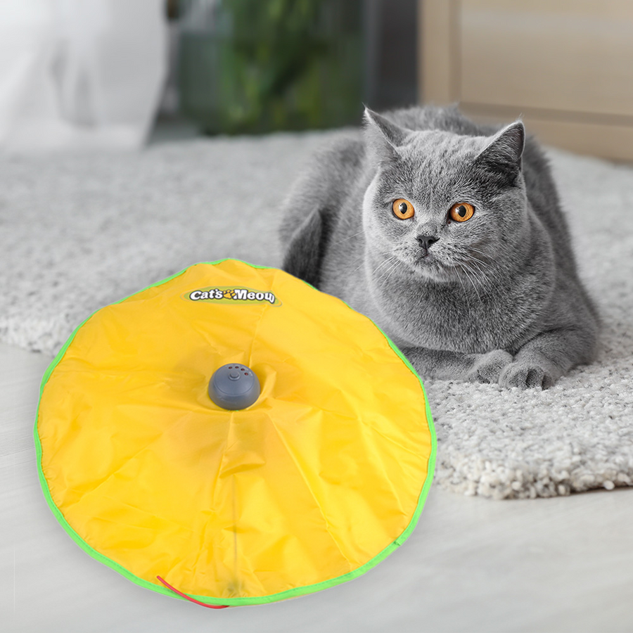 Brinquedo Tapete Mágico para Gatos