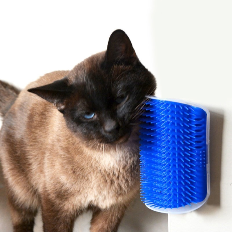 Massageador com Compartimento para colocar Catnip para Gatos