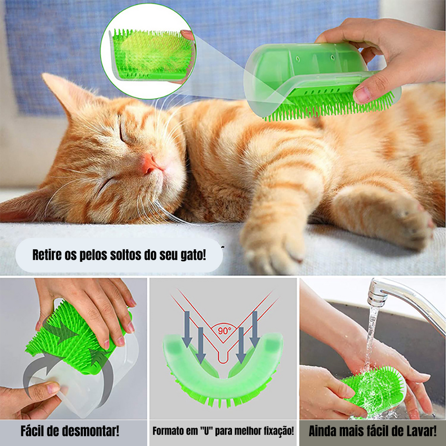 Massageador com Compartimento para colocar Catnip para Gatos