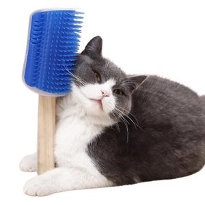 Massageador com Compartimento para colocar Catnip para Gatos