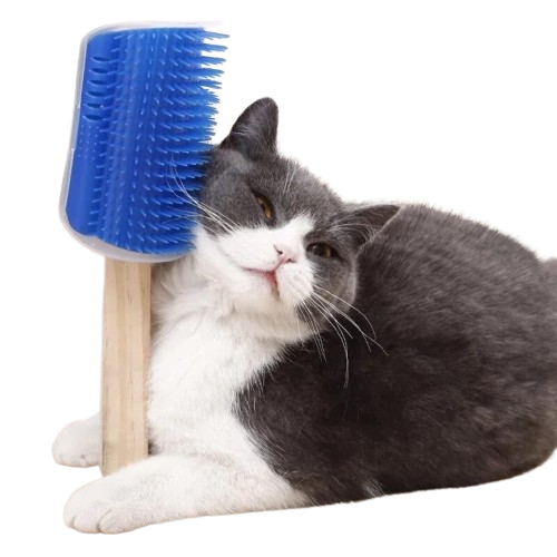 Massageador com Compartimento para colocar Catnip para Gatos