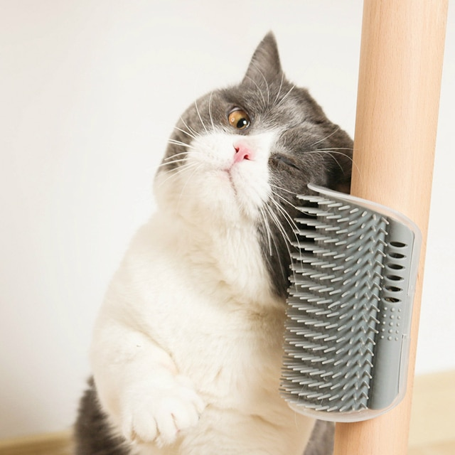 Massageador com Compartimento para colocar Catnip para Gatos