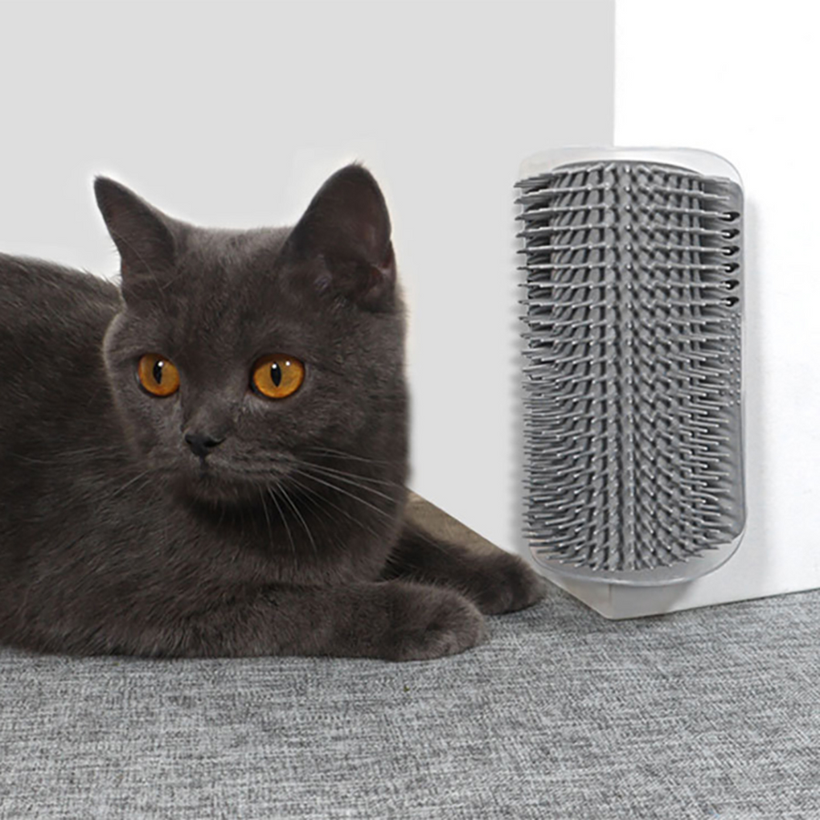 Massageador com Compartimento para colocar Catnip para Gatos