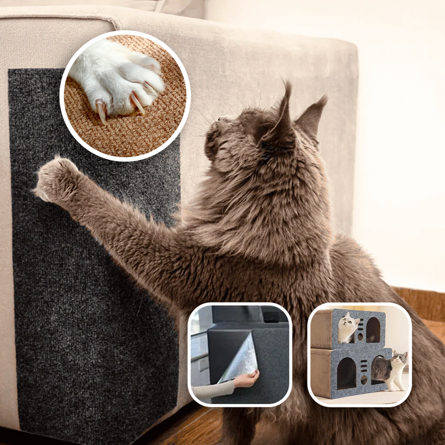 Carpete Adesivo Protetor para Unha de Gatos