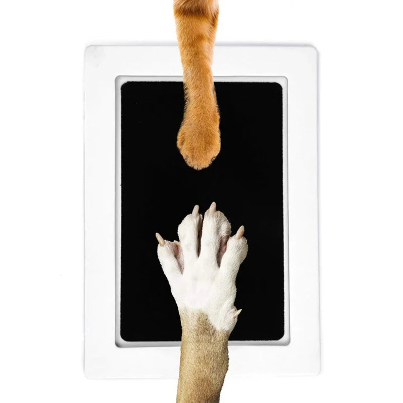 Carimbo de Patas para Pets