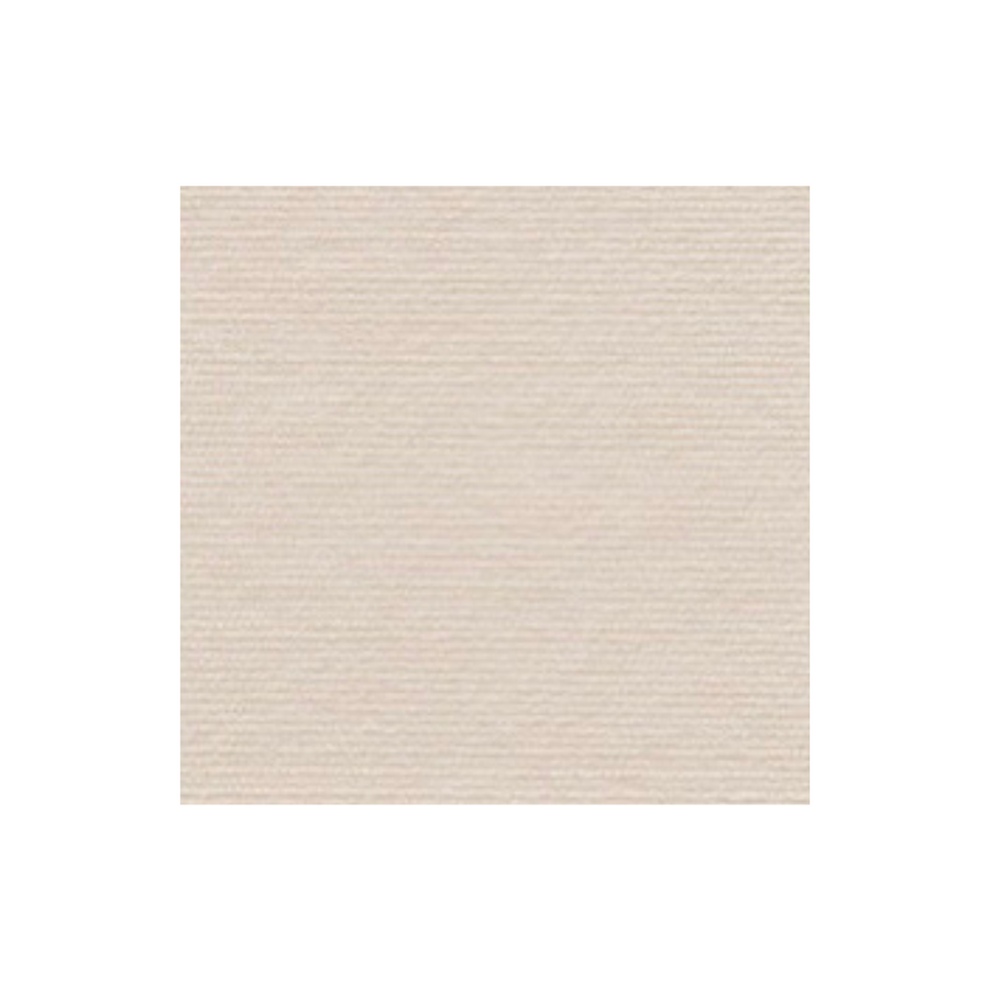 Carpete Adesivo Protetor para Unha de Gatos