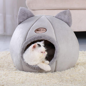 Casinha Mimi Para Gatos